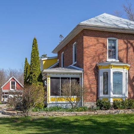 Our Space The Perfect Place B&B Picton Exterior foto
