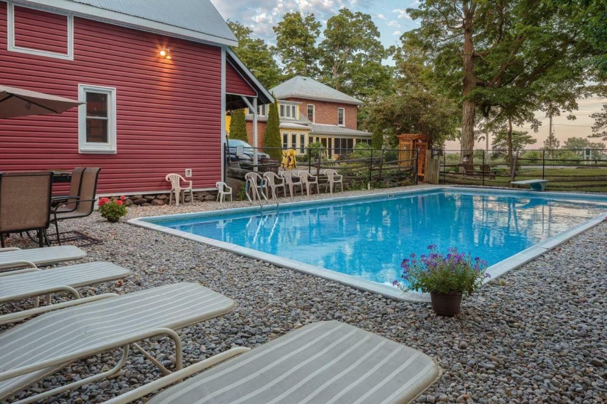 Our Space The Perfect Place B&B Picton Exterior foto
